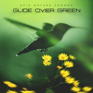 Glide Over Green - Epic Nature Sounds