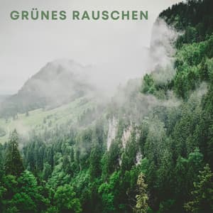 Grünes Rauschen - Weißes Rauschen HD