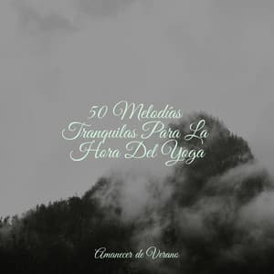 50 Melodías Tranquilas Para La Hora Del Yoga - Meditación Maestro