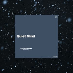Quiet Mind - Sleep Music System