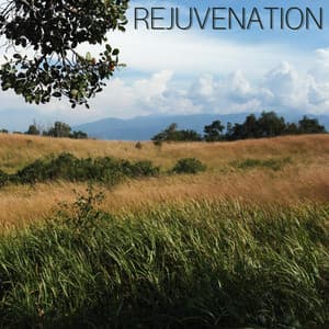 Rejuvenation - Zen Ken