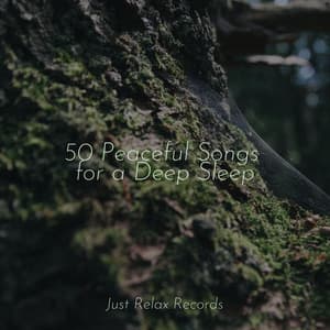 50 Peaceful Songs for a Deep Sleep - Dormir
