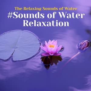 #Sounds of Water Relaxation - The Relaxing Sounds of Water