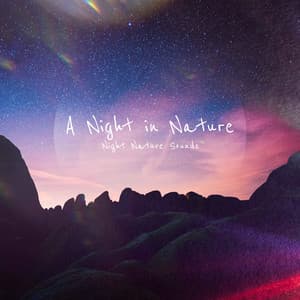 A Night in Nature - Night Nature Sounds