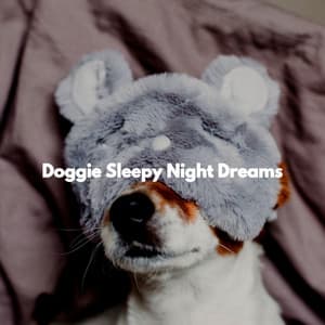 Doggie Sleepy Night Dreams - Musica para Estudiar Playlist