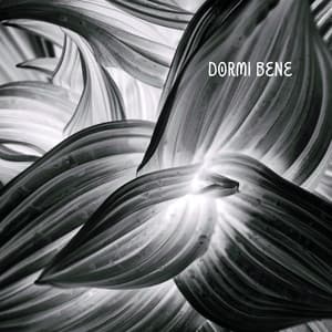 Dormi bene - Musica rilassante per aiutarti a dormire e sbarazzarti delle notti insonni - Calmo Maestro del Sogno