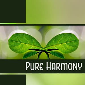 Pure Harmony - Positive Thinking World