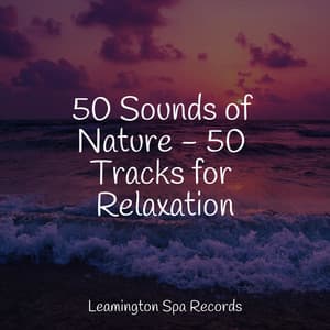 50 Sounds of Nature - 50 Tracks for Relaxation - Sleep Meditation Dream Catcher