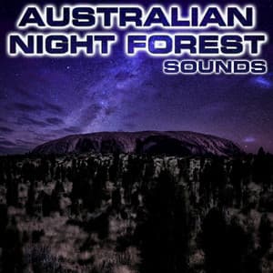 Australian Night Forest Sounds - Australian Night Forest Sounds