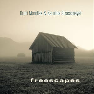 Freescapes - Drori Mondlak