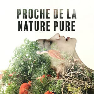 Proche de la nature pure: Sons apaisants pour dormir et se détendre - Musique Coeur de la Nature