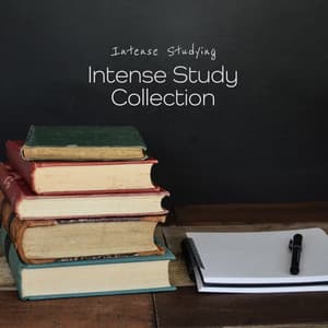 Intense Study Collection - Intense Studying
