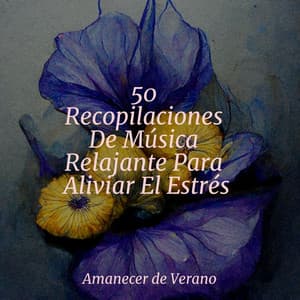 50 Recopilaciones De Música Relajante Para Aliviar El Estrés - Música relajante con sonidos de la naturaleza