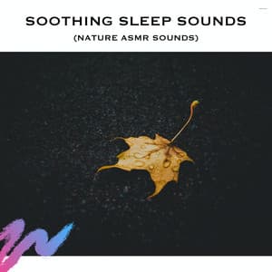 Soothing Sleep Sounds - ASMR Earth