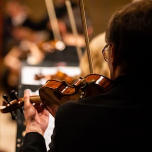 Tranquil Orchestra Symphony: Peaceful Musical Harmony - Charles Anderson