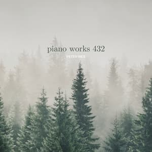 Piano Works 432 - Peter Ries