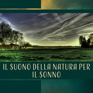 Il suono della natura per il sonno - Pioggia, acqua, uccelli, onde dell'oceano, cascata, foresta, ambiente notturno - Suoni naturali zen