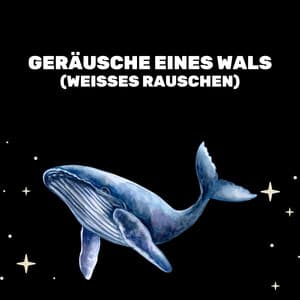 Geräusche Eines Wals - Entspannende Blume