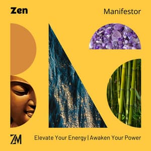 Elevate Your Energy, Awaken Your Power - Zen Manifestor