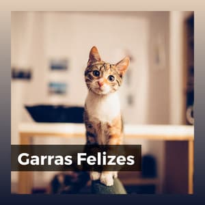 Garras Felizes - Musica para Gatos