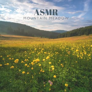 ASMR Mountain Meadow: Nature Relaxing Sounds & Birds, River, Brook, Grasshopper, Forest and Wind - Nature Collection