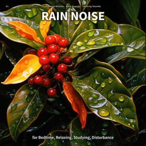 #1 Rain Noise for Bedtime, Relaxing, Studying, Disturbance - Regengeräusche