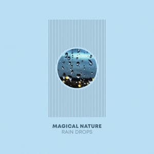 Magical Nature Rain Drops - Rain Recorders