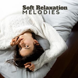 Soft Relaxation Melodies – Pure Chillout 2019, Music Therapy, Deep Relax, Soft Vibes, Deeper Sleep & Rest - Café Ibiza Chillout Lounge
