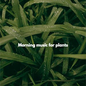Morning music for plants - Restaurante de Musica de Lujo
