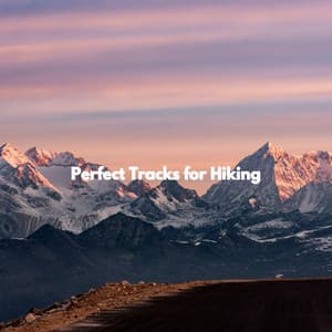 Perfect Tracks for Hiking - French Jazz Lounge