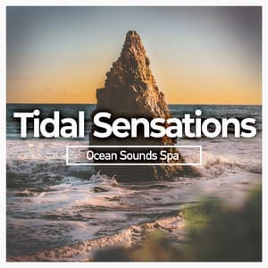 Tidal Sensations - Ocean Waves Sleep Aid