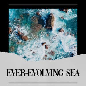 Ever-evolving Sea - Ocean Sounds FX