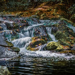 Nature: Babbling Brook Sleeping Sound Vol. 1 - Sleepy Times