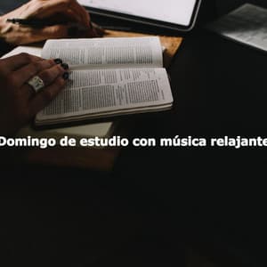 Domingo de estudio con música relajante - Easy Listening Sunday Morning Music