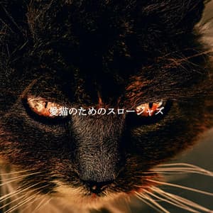 愛猫のためのスロージャズ - Reading Background Music