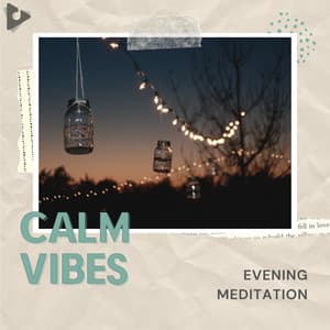 Evening Meditation - Calm Vibes