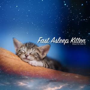 Fast Asleep Kitten - Music for Cats TA