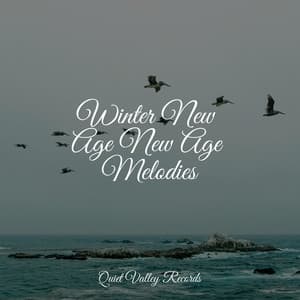 Winter New Age New Age Melodies - Tailormade Ocean Waves