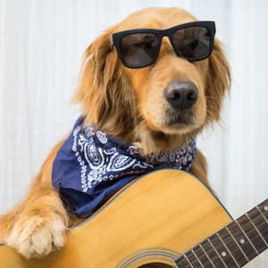 Barking Bliss Melodies: Music For Energetic Canines - Matter and Energy