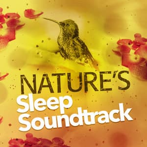 Nature's Sleep Soundtrack - Deep Sleep Nature Sounds