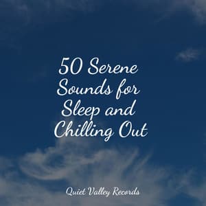50 Serene Sounds for Sleep and Chilling Out - The Sleep Specialist