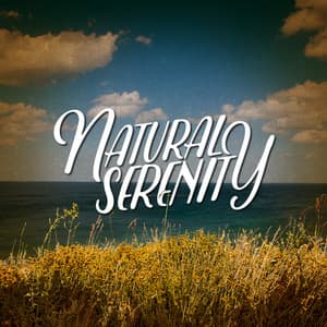 Natural Serenity - Nature Sounds Sleep