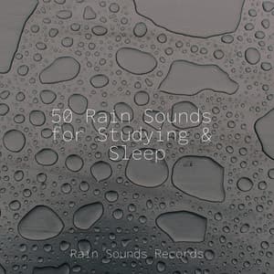 50 Rain Sounds for Studying & Sleep - Rain Sounds & White Noise