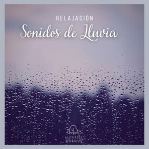 Relajación: Sonidos de Lluvia - Lluvia Del Bosque