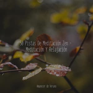 50 Pistas De Meditación Zen - Meditación Y Relajación - Meditation Relaxation Club