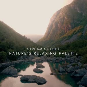 Stream Soothe: Nature’s Relaxing Palette - Intentional Vibes
