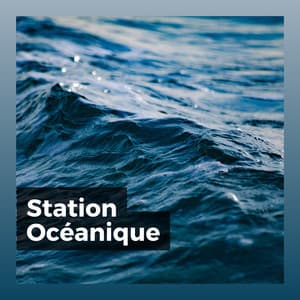 Station Océanique - Vagues Dans La Mer