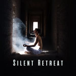 Silent Retreat: Relaxation Music for Meditative Stillness - Relaxing BGM Project