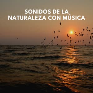Sonidos de la Naturaleza con Música - Sonidos De Pajaros
