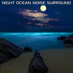 Night Ocean Noise Surround - Ocean Soundscapes